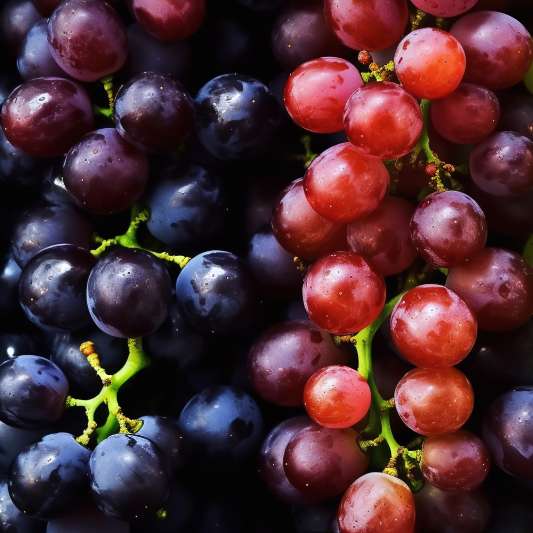 Grapes Product Categories