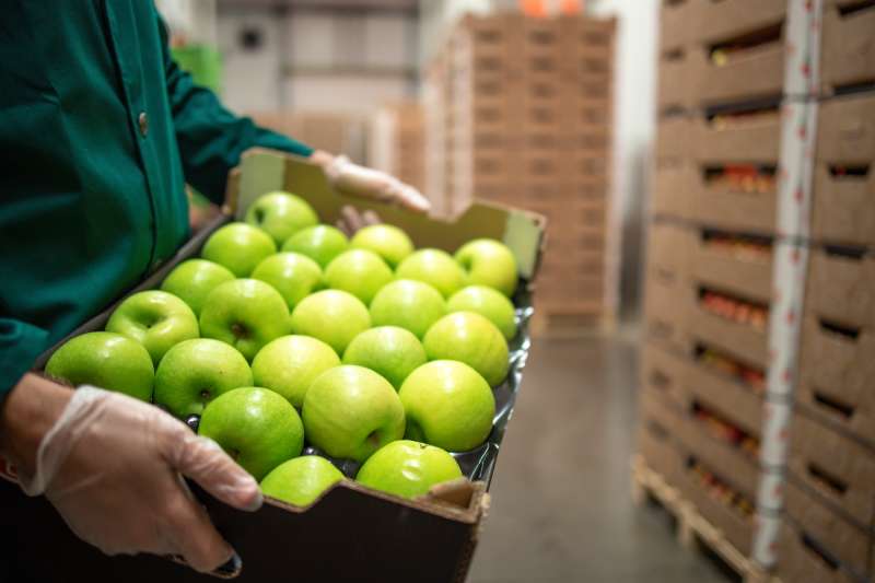 Fruit Exporter Supply